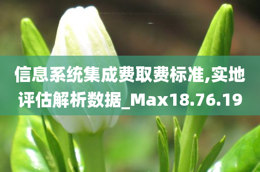 信息系统集成费取费标准,实地评估解析数据_Max18.76.19