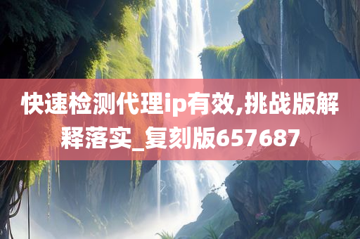 快速检测代理ip有效,挑战版解释落实_复刻版657687