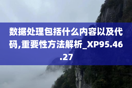 数据处理包括什么内容以及代码,重要性方法解析_XP95.46.27