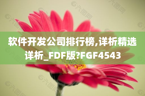 软件开发公司排行榜,详析精选详析_FDF版?FGF4543