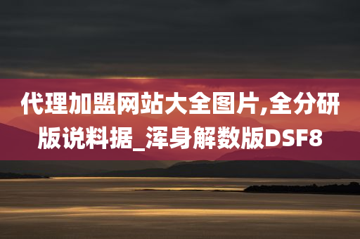 代理加盟网站大全图片,全分研版说料据_浑身解数版DSF8