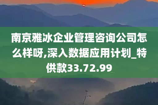 南京雅冰企业管理咨询公司怎么样呀,深入数据应用计划_特供款33.72.99