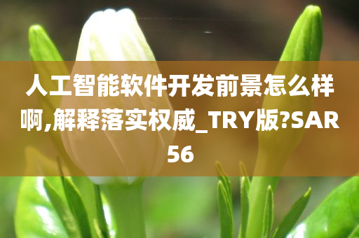 人工智能软件开发前景怎么样啊,解释落实权威_TRY版?SAR56