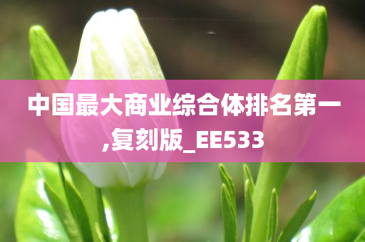 中国最大商业综合体排名第一,复刻版_EE533