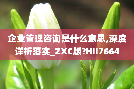 企业管理咨询是什么意思,深度详析落实_ZXC版?HII7664