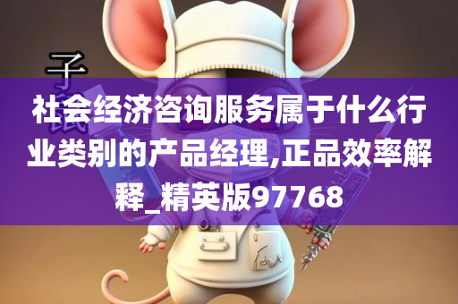 社会经济咨询服务属于什么行业类别的产品经理,正品效率解释_精英版97768