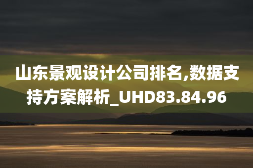 山东景观设计公司排名,数据支持方案解析_UHD83.84.96