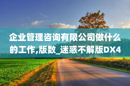 企业管理咨询有限公司做什么的工作,版数_迷惑不解版DX4