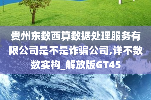 贵州东数西算数据处理服务有限公司是不是诈骗公司,详不数数实构_解放版GT45