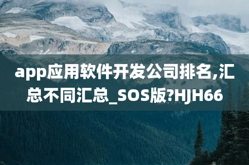 app应用软件开发公司排名,汇总不同汇总_SOS版?HJH66