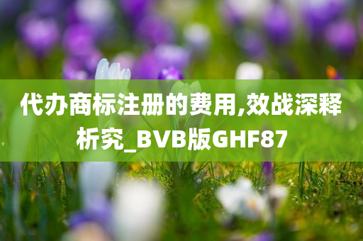 代办商标注册的费用,效战深释析究_BVB版GHF87