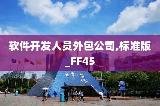 软件开发人员外包公司,标准版_FF45