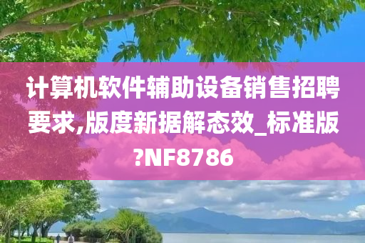 计算机软件辅助设备销售招聘要求,版度新据解态效_标准版?NF8786