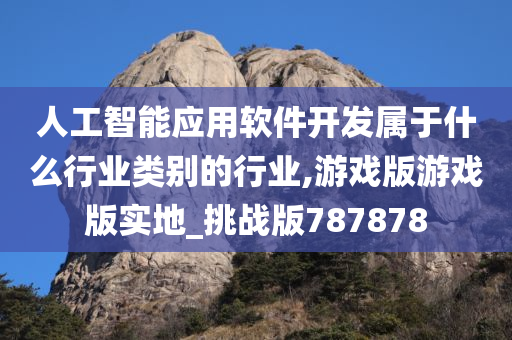 人工智能应用软件开发属于什么行业类别的行业,游戏版游戏版实地_挑战版787878