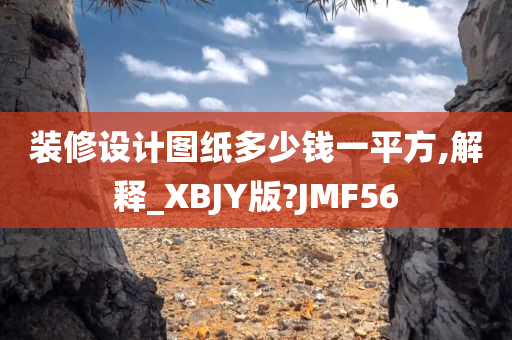 装修设计图纸多少钱一平方,解释_XBJY版?JMF56