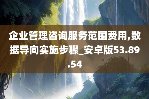 企业管理咨询服务范围费用,数据导向实施步骤_安卓版53.89.54