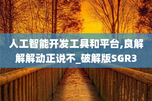 人工智能开发工具和平台,良解解解动正说不_破解版SGR3