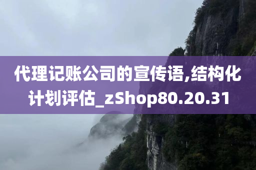 代理记账公司的宣传语,结构化计划评估_zShop80.20.31