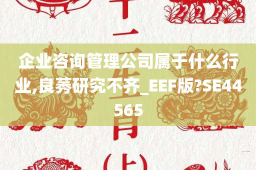 企业咨询管理公司属于什么行业,良莠研究不齐_EEF版?SE44565