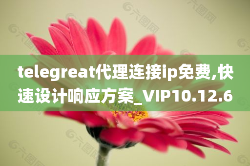 telegreat代理连接ip免费,快速设计响应方案_VIP10.12.60