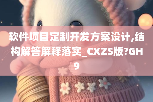 软件项目定制开发方案设计,结构解答解释落实_CXZS版?GH9