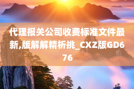 代理报关公司收费标准文件最新,版解解精析挑_CXZ版GD676