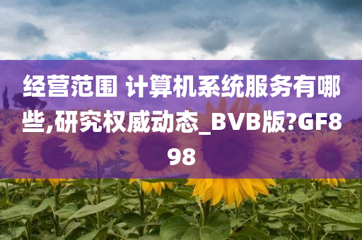 经营范围 计算机系统服务有哪些,研究权威动态_BVB版?GF898