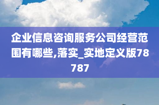 企业信息咨询服务公司经营范围有哪些,落实_实地定义版78787