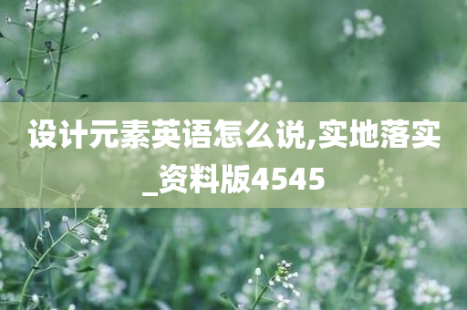 设计元素英语怎么说,实地落实_资料版4545