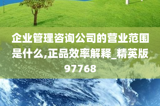 企业管理咨询公司的营业范围是什么,正品效率解释_精英版97768