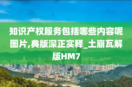 知识产权服务包括哪些内容呢图片,典版深正实释_土崩瓦解版HM7