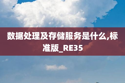 数据处理及存储服务是什么,标准版_RE35