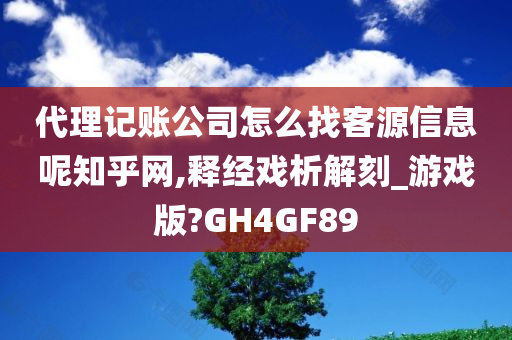 代理记账公司怎么找客源信息呢知乎网,释经戏析解刻_游戏版?GH4GF89