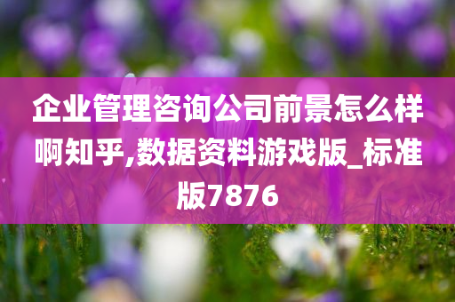 企业管理咨询公司前景怎么样啊知乎,数据资料游戏版_标准版7876