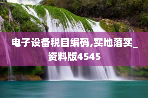 电子设备税目编码,实地落实_资料版4545