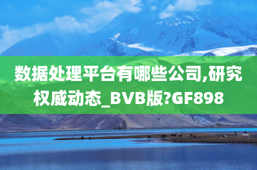 数据处理平台有哪些公司,研究权威动态_BVB版?GF898