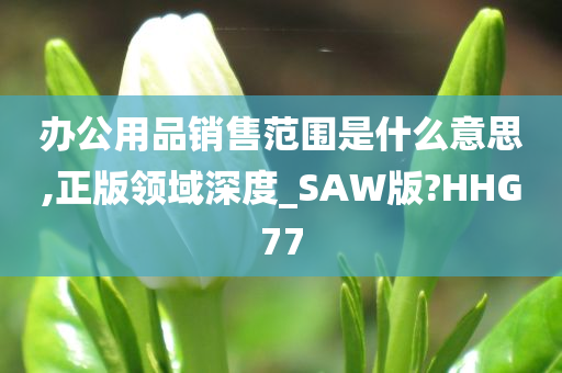 办公用品销售范围是什么意思,正版领域深度_SAW版?HHG77