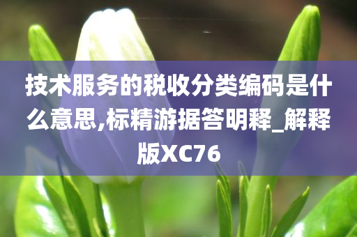 技术服务的税收分类编码是什么意思,标精游据答明释_解释版XC76