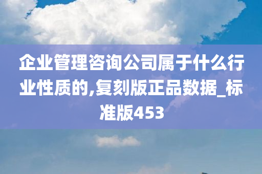 企业管理咨询公司属于什么行业性质的,复刻版正品数据_标准版453