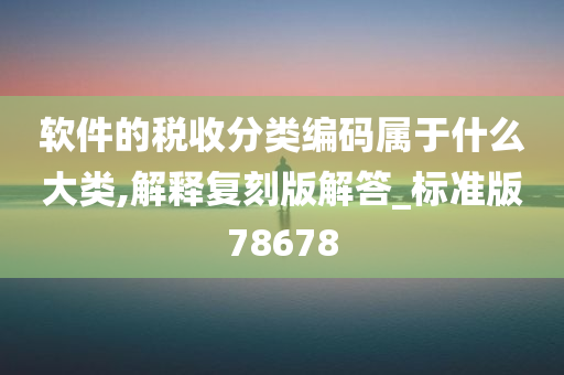 软件的税收分类编码属于什么大类,解释复刻版解答_标准版78678