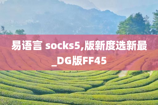 易语言 socks5,版新度选新最_DG版FF45