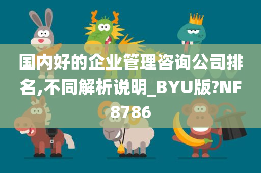 国内好的企业管理咨询公司排名,不同解析说明_BYU版?NF8786