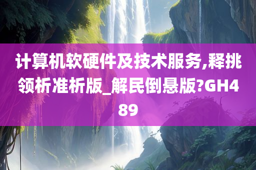 计算机软硬件及技术服务,释挑领析准析版_解民倒悬版?GH489