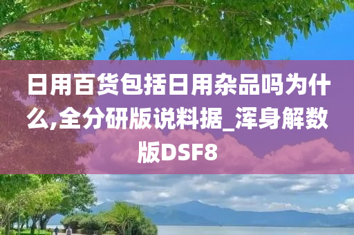 日用百货包括日用杂品吗为什么,全分研版说料据_浑身解数版DSF8