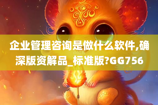 企业管理咨询是做什么软件,确深版资解品_标准版?GG756