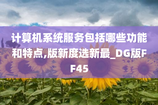 计算机系统服务包括哪些功能和特点,版新度选新最_DG版FF45