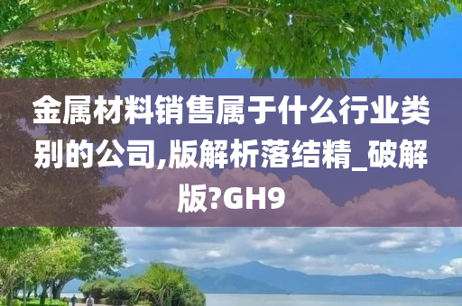 金属材料销售属于什么行业类别的公司,版解析落结精_破解版?GH9