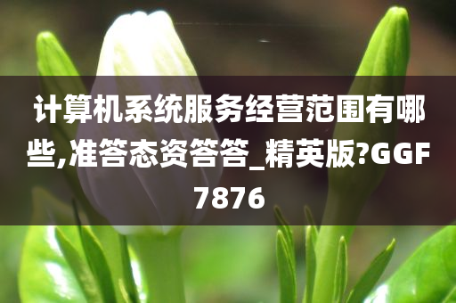 计算机系统服务经营范围有哪些,准答态资答答_精英版?GGF7876