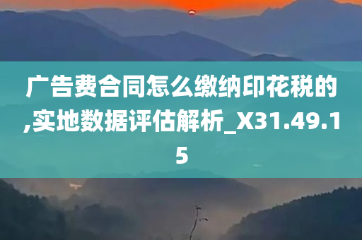 广告费合同怎么缴纳印花税的,实地数据评估解析_X31.49.15