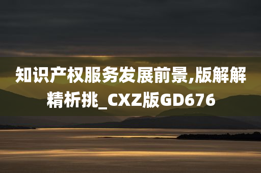 知识产权服务发展前景,版解解精析挑_CXZ版GD676